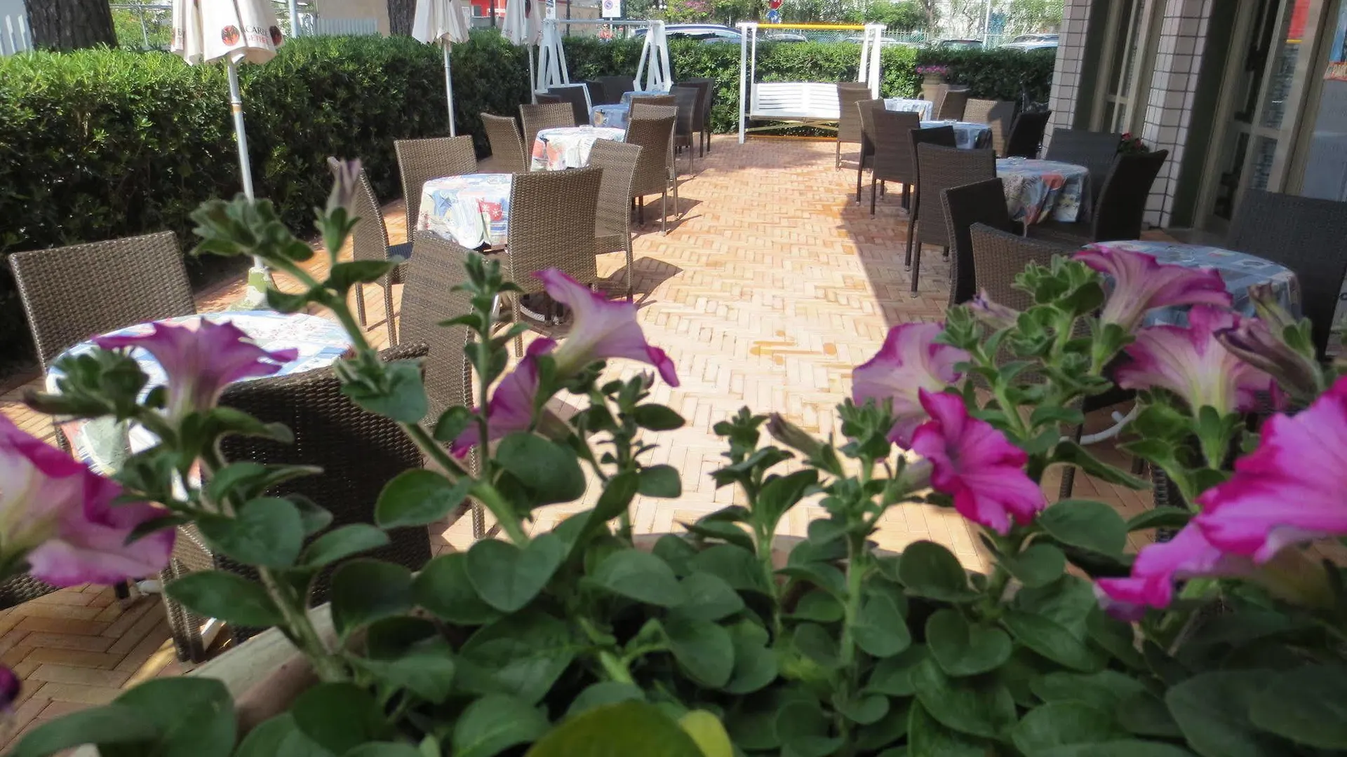 Hotel Etna - Nuova Gestione Romagnola All-Inclusive Spiaggia Parcheggio Riccione